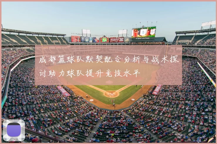 成都篮球队默契配合分析与战术探讨助力球队提升竞技水平