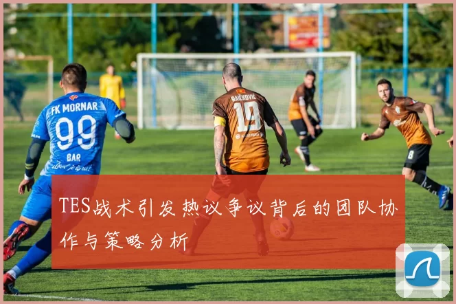 TES战术引发热议争议背后的团队协作与策略分析