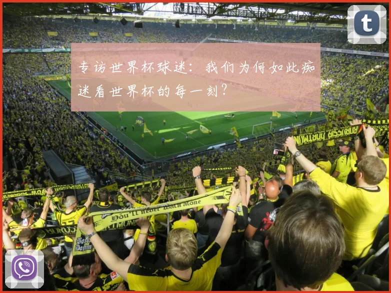 专访世界杯球迷：我们为何如此痴迷看世界杯的每一刻？