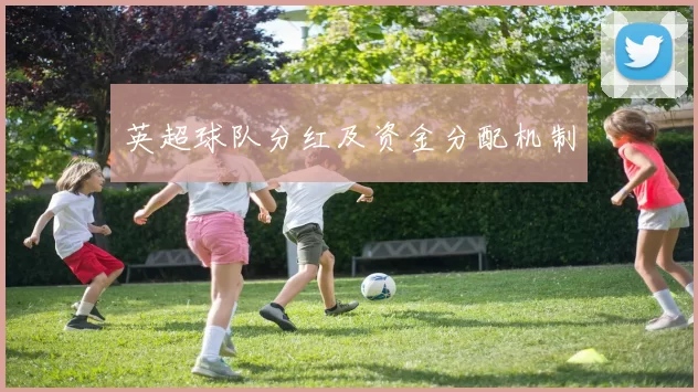 英超球队分红及资金分配机制