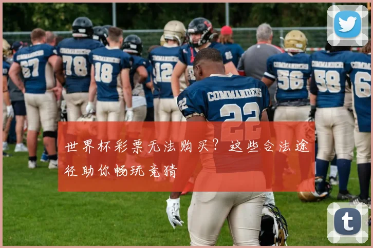 世界杯彩票无法购买？这些合法途径助你畅玩竞猜