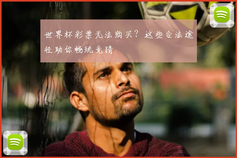 世界杯彩票无法购买？这些合法途径助你畅玩竞猜