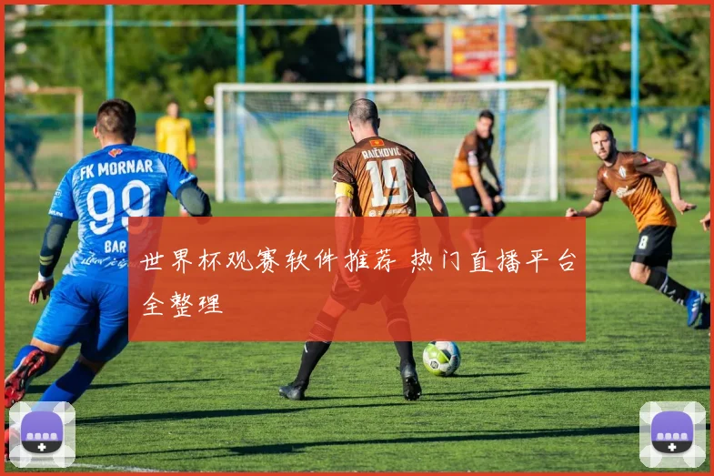 世界杯观赛软件推荐 热门直播平台全整理