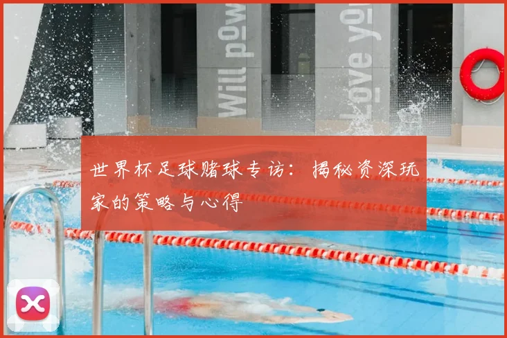 世界杯足球赌球专访：揭秘资深玩家的策略与心得
