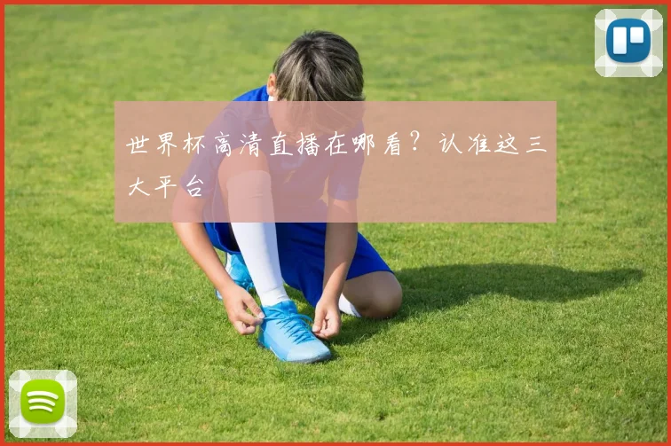 世界杯高清直播在哪看？认准这三大平台