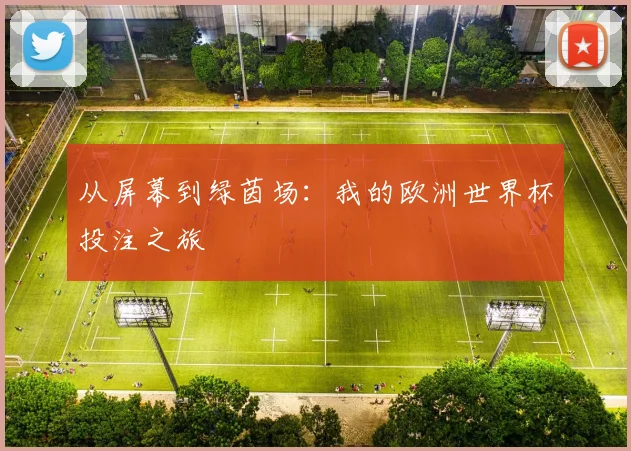 从屏幕到绿茵场：我的欧洲世界杯投注之旅