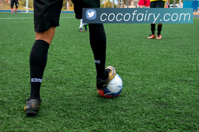 华体app官网平台生态图